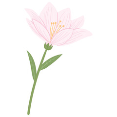 Pink Flower and Green Leafs Illustration