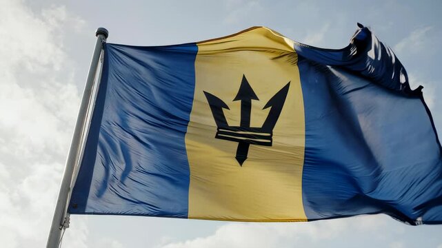A flag, featuring blue and gold sections with a dark symbol, waves from a pole against a cloudy sky