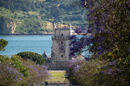 Bel&eacute;m Tower Framed by Jacaranda Trees in Lisbon, Portugal