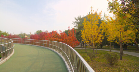Naklejka premium Overpass in autumn
