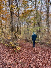 Fototapeta premium Man walking alone on a leaf-covered forest path in autumn