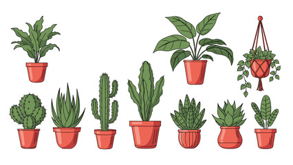 Fototapeta premium Detailed illustration of diverse indoor green potted plants and succulents in terracotta pots on a clean white background.