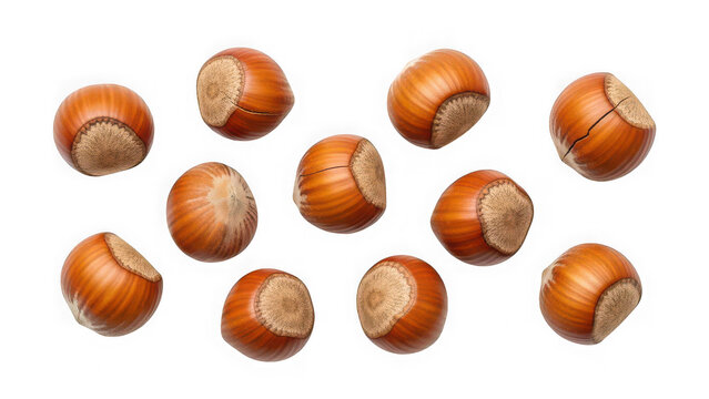 Multiple whole brown hazelnuts in shell scattered on a white space isolated on transparent background
