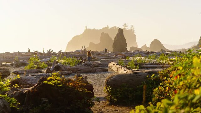 Stunning Sunset At Washington States Coastline