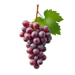 Fototapeta premium Fresh red grapes isolated on a white background photo