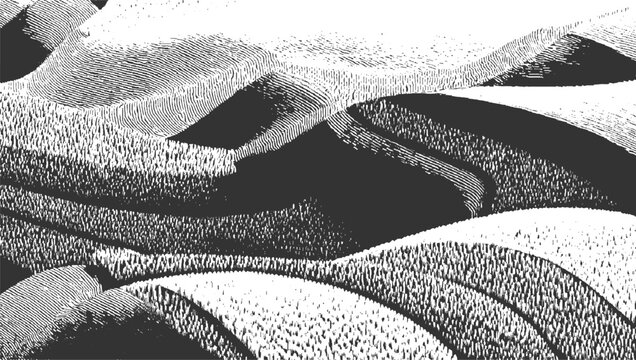 Abstract black and white textured dunes with parallel lines and dots pattern