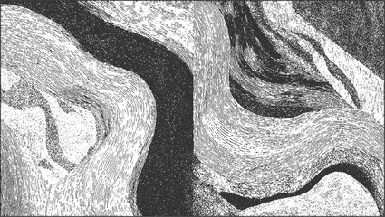Fototapeta premium Abstract monochrome swirling lines and stippled textures forming organic shapes black white