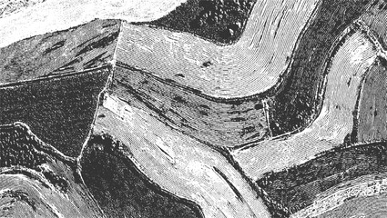 Black and white abstract pattern of curved lines and textured fields resembling aerial view of farmland © ESIPOOS