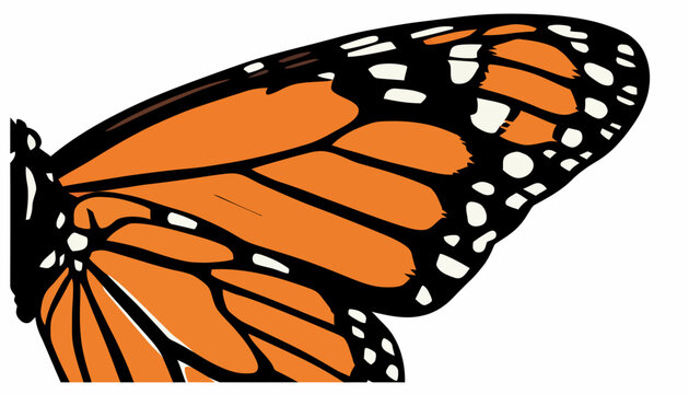 A close-up illustration of a monarch butterfly's orange and black patterned wing, showcasing intricate veins and white spots along the edge.