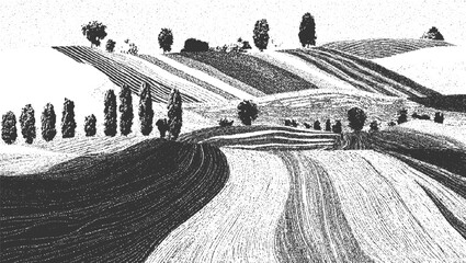 Fototapeta premium Rolling Hills with Cypress Trees and Agricultural Fields in Stippled Black and White landscape nature