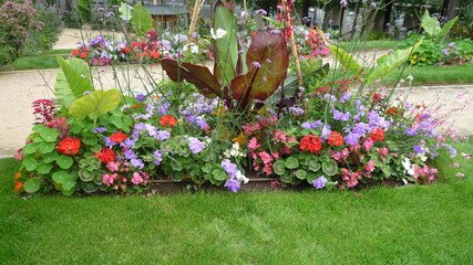 Beautiful flowerbed with various flowers and plants in purple, pink and green colors