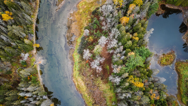 Top-Down Aerial of River and Pond Surrounded by Autumn Forest