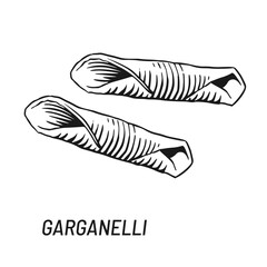Garganelli Pasta vector illustration. Hand drawn sketch design element.