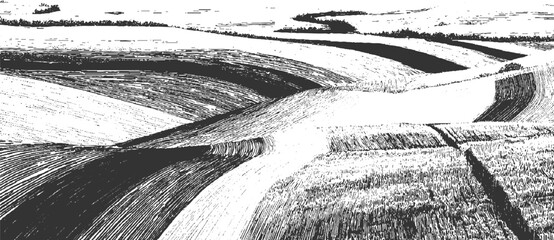 Fototapeta premium Black and white textured rolling hills and fields with a distant tree line