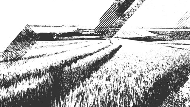 Textured black and white field with abstract geometric overlays and diagonal lines grass wheat grain