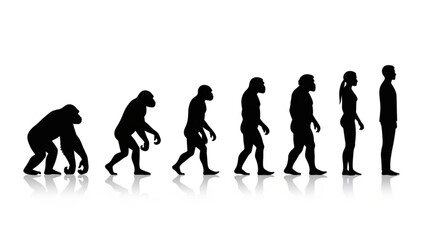 Human evolution silhouette primate to modern man walking sequence black figures on white background