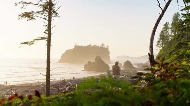 Stunning Sunset At Washington States Coastline