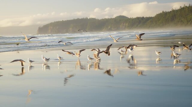 Stunning Sunset At Washington States Coastline
