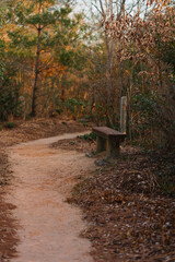 登山道とベンチ