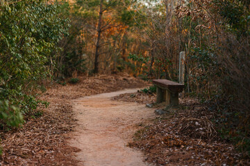登山道とベンチ