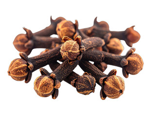 Close-up of dried, aromatic spice with dark brown stems and bulbous flower buds (1)