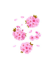 Obraz premium A beautiful bouquet of spring flowers is placed against a white background