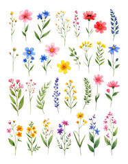 Obraz premium A beautiful bouquet of spring flowers is placed against a white background