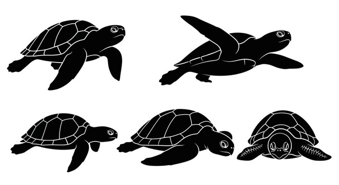 collection of black turtle silhouettes in various poses