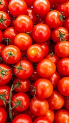 Vibrant Cherry Tomatoes - A Fresh and Healthy Harvest.