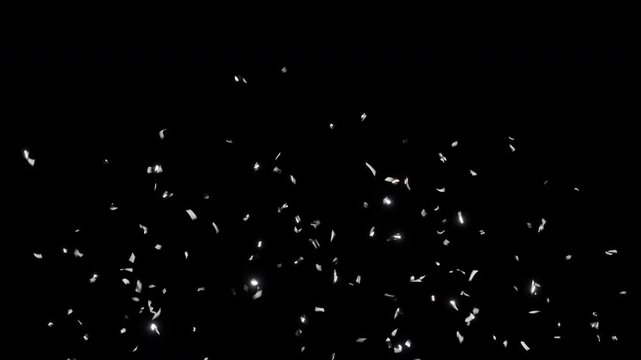 Confetti silver explosions from both sides overlay on black background, includes green screen and alpha channel. 