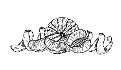 Monochrome tangerine fruits with spiral zest and slices vector isolated illustration. Mandarin orange composition line art painted by black inks. Sweet tropical citrus etch for kitchen print, banner