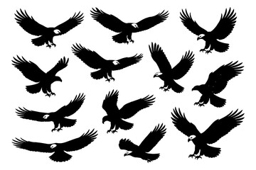 Obraz premium Silhouette of twelve eagles in flight with extended wings on white background.