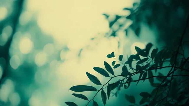 Delicate green leaves are silhouetted against a soft, ethereal teal and yellow bokeh background, creating a peaceful and serene natural environment with ample copy space for design elements