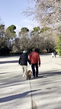 Matrimonio pareja mayor de la mano unidos con perro paseando por parque