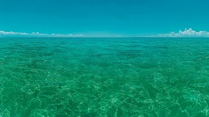 Fototapeta premium Bright Turquoise Ocean Water Under a Clear Blue Sky