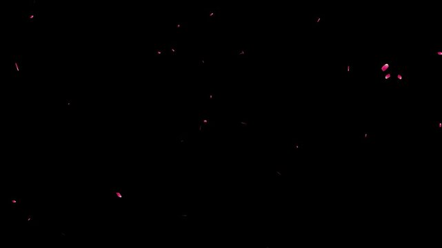 Cherry Blossom petals falling 4K, pink petals overlay alpha channel, sakura petals drifting, autumn leaves falling animation with orange leaves 4K