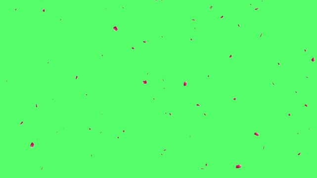 flying pink cherry blossom petals falling on transparent background, petals falling particle animation, Falling cherry blossom loop animation, cherry blossoms green screen
