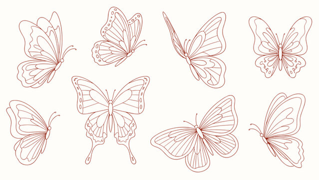 Elegant butterfly sketches in linear style on a light background