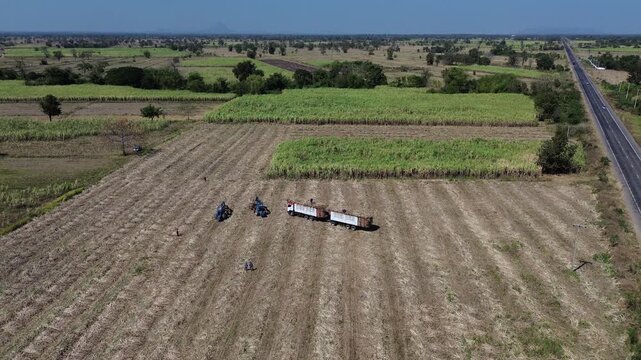 Aerial farmland field agriculture harvest with tractor and truck near highway, drone view of rural landscape showing harvested crop rows, green plantation patches, farm machinery, open countryside