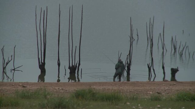 P&eacute;cheur dans lac avec arbre mort