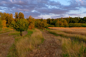 Mainaue bei Astheim am Main an der Vokacher Mainschleife, Stadt Vokach, Landkreis Kitzingen, Unterfranken, Franken, Bayern, Deutschland