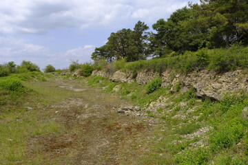 Naturschutzgebiet Grainberg-Kalbenstein am Main bei Karlstadt, Landkreis Main-Spessart, Unterfranken, Bayern, Deutschland