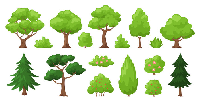 Cartoon tree and bush with leaf wood bark set including pine fir oak elm and ash. Green plant for wild park yard or land shrub with grass and branch. Flat vector clip art pack for game.