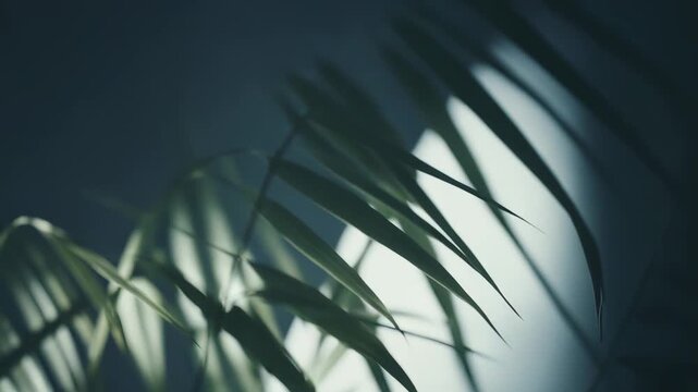 Bamboo stalks and leaves forming an elegant botanical composition, symbolizing growth, harmony, and an abstract representation of nature and tranquility with soft light