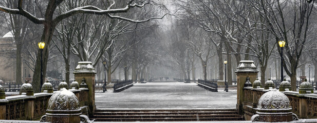 Central Park the Mall during snow storm