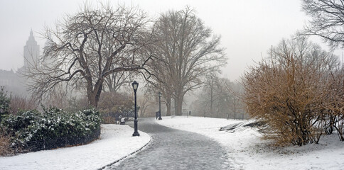 Central Park in winter , during snowstorm