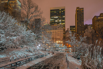 Central Park in winter , during snowstorm