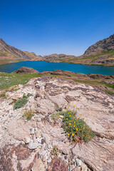A lake in the mountains, natural scenery, green meadows, snow-capped mountains, blue sky, winter season. Lake views in bloom in spring. Hakkari Cilo Sat Lakes. A lake view in the mountains. 