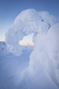 View of snow-laden trees sculpted by fierce winds and heavy snowfall create a surreal, icy landscape under the soft glow of the arctic sky, Tolva, Lappi, Finland.