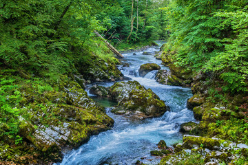 Fototapeta premium Vintgar Gorge LandscapeIn In Slovenia